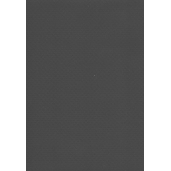 Folia Basenowa Elbtal Classic - Dark Grey