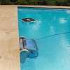 Skimmy Dolphin skimmerowy robot basenowy | BasenShop
